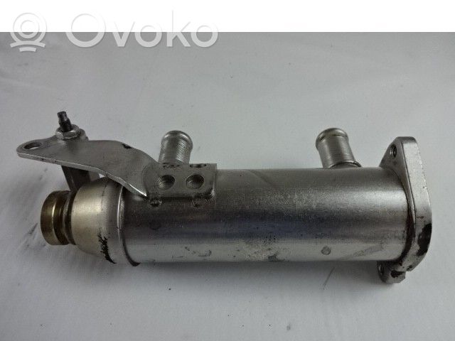 Citroen C6 Răcitor supapă EGR 