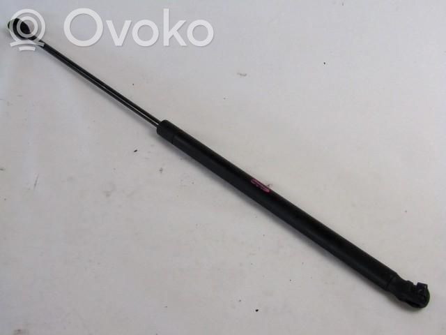 Porsche Cayenne (9PA) Ammortizzatore portellone anteriore/cofano 