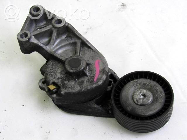 Volkswagen New Beetle Întinzător curea generator/alternator 