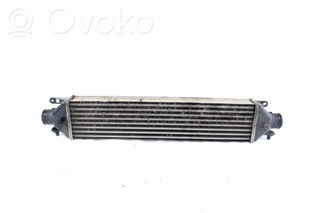 Fiat Bravo Radiatore intercooler 