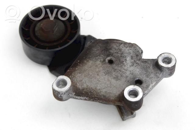 Peugeot 307 Tensor de correa del alternador 