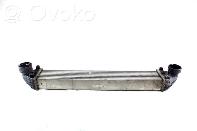 Radiatore intercooler   A1695000000