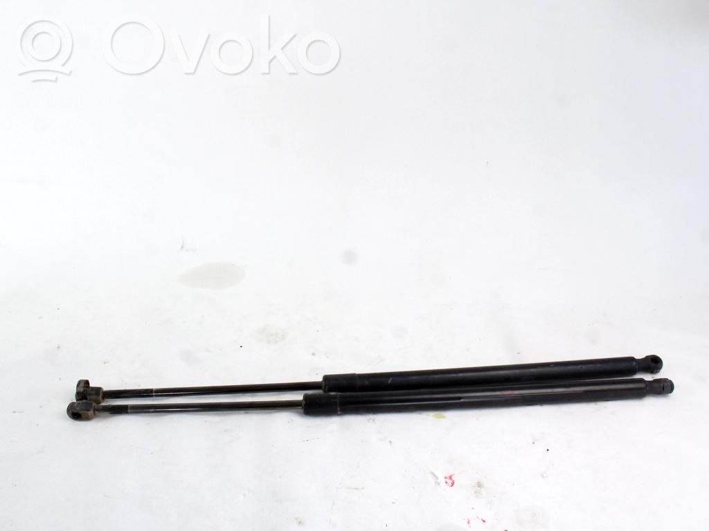 Land Rover Range Rover Sport L320 Ammortizzatore portellone anteriore/cofano 