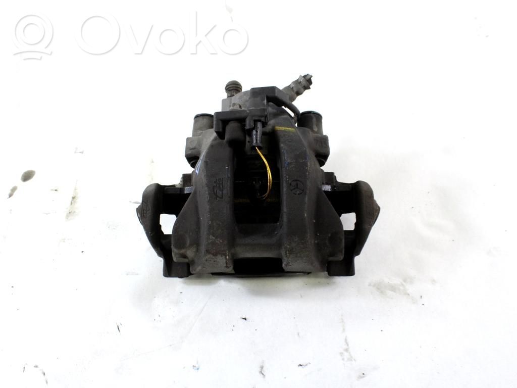 Takajarrusatula   A0024202683