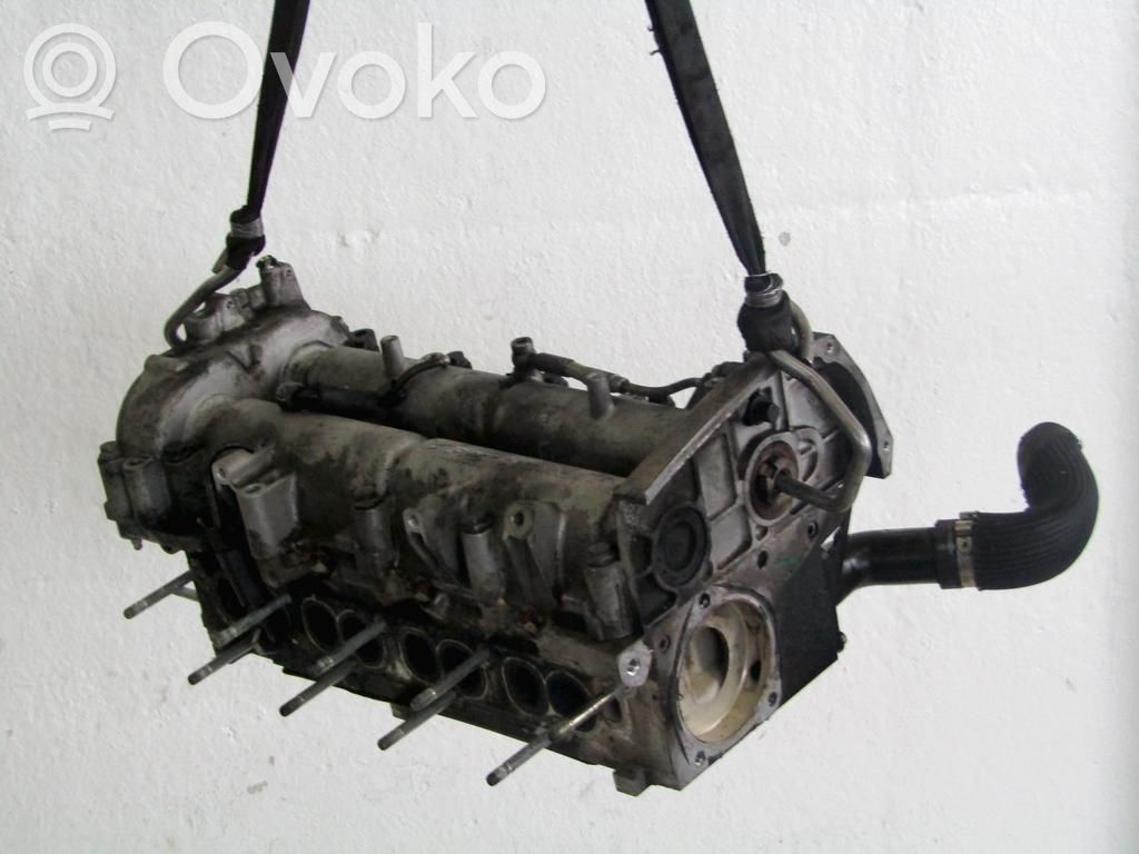 Galvutė   55213844