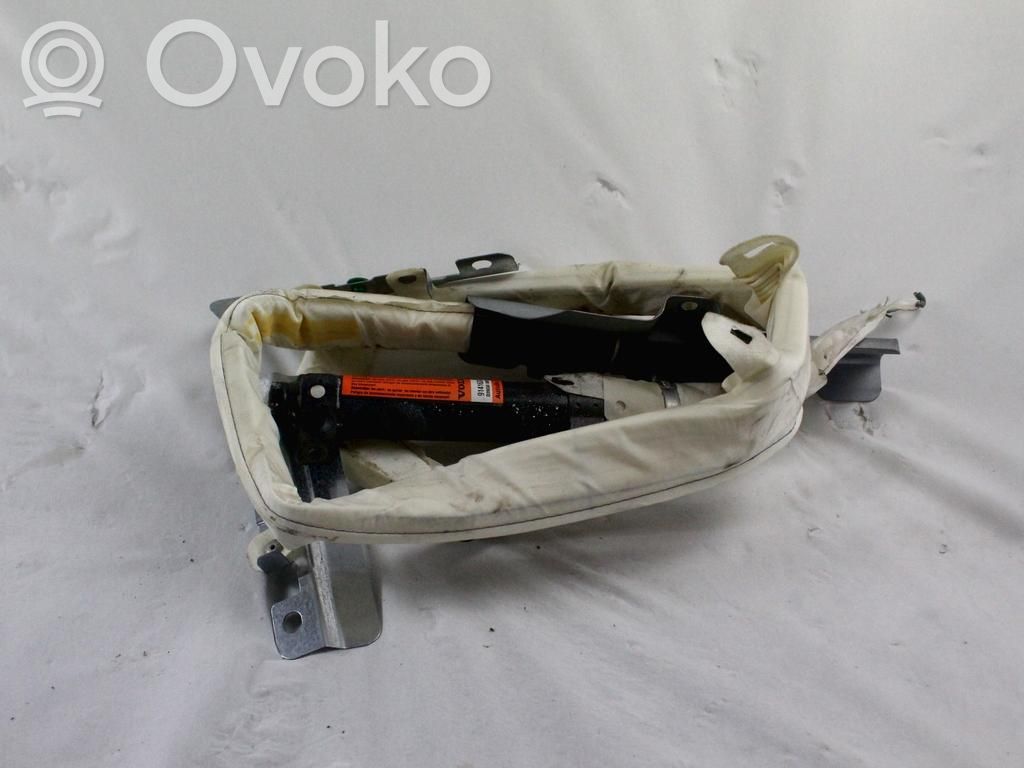 Airbag del techo   9141638