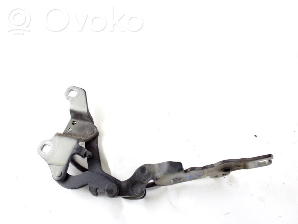 Cerniere del vano motore/cofano   41617210673
