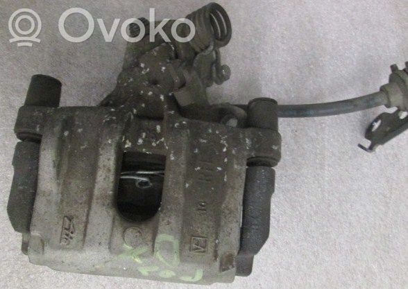 Takajarrusatula   BPYK2661XB