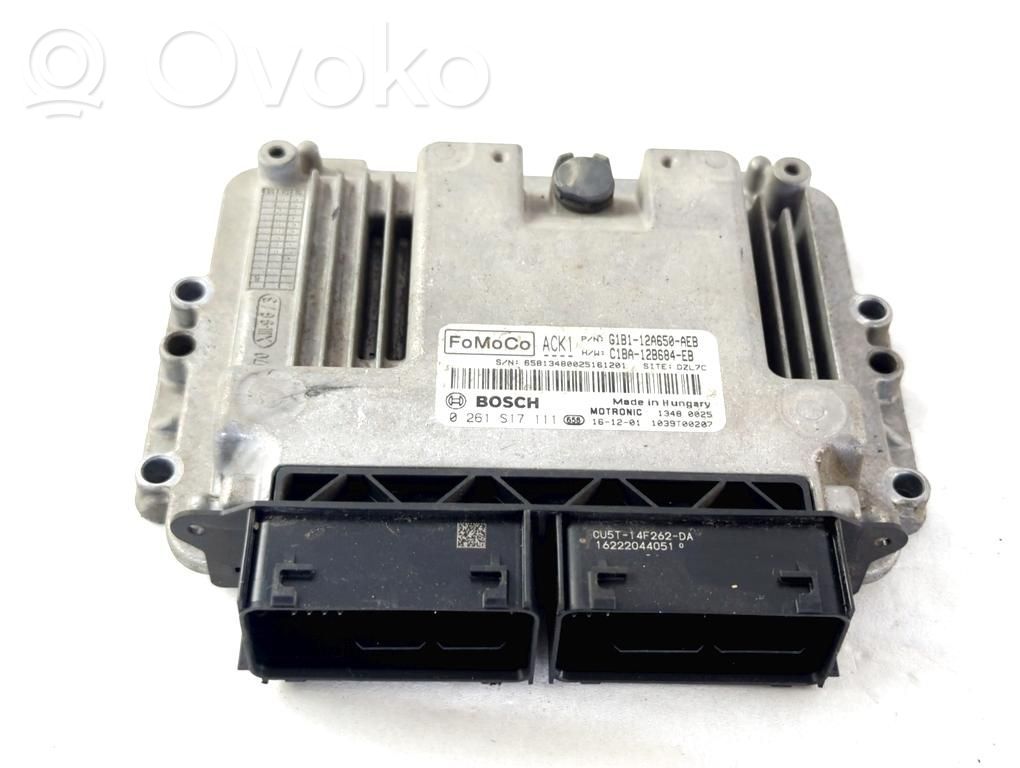 Engine control unit/module   G1B112A650AEB