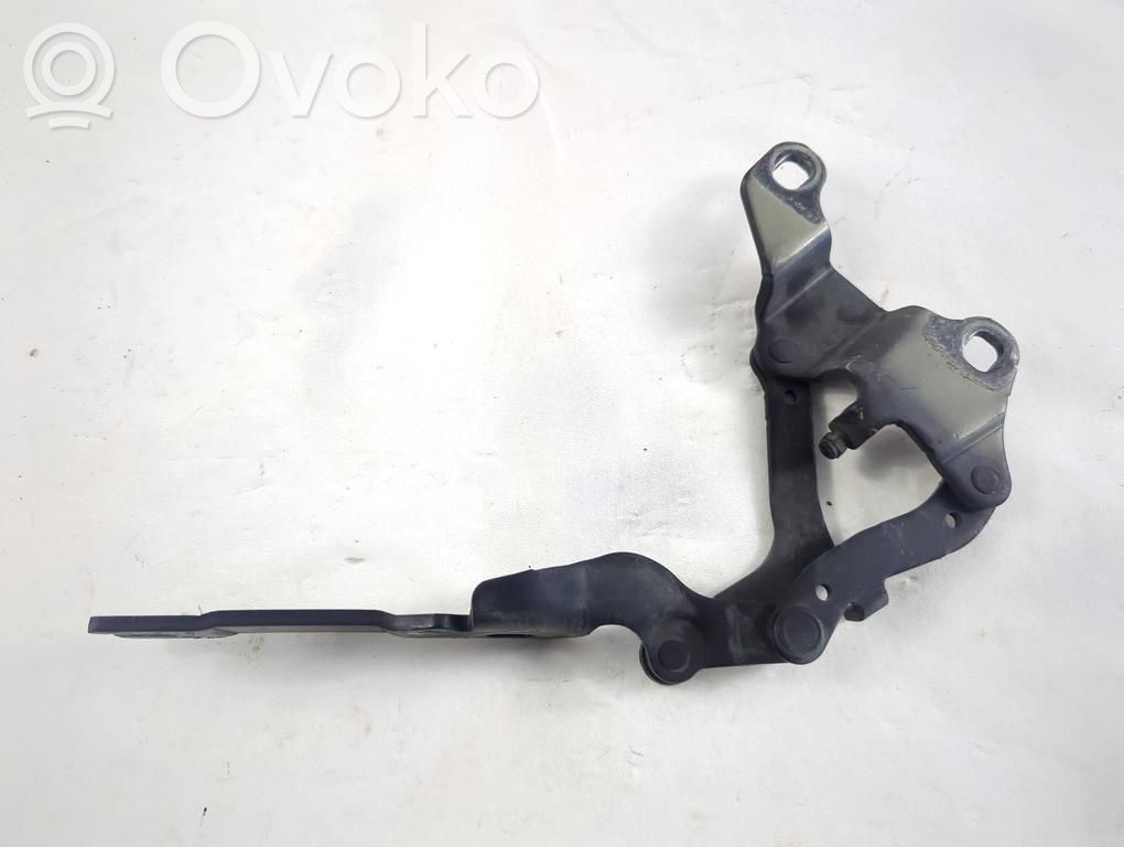 Cerniere del vano motore/cofano   7115264