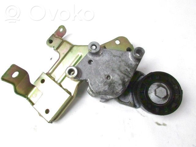 Napinacz paska alternatora   Y60115980A
