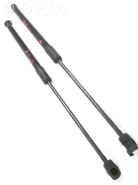Audi A4 S4 B9 Ammortizzatore portellone anteriore/cofano 