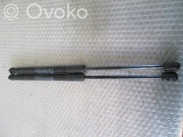 Konepellin kaasujousi   81770A2000