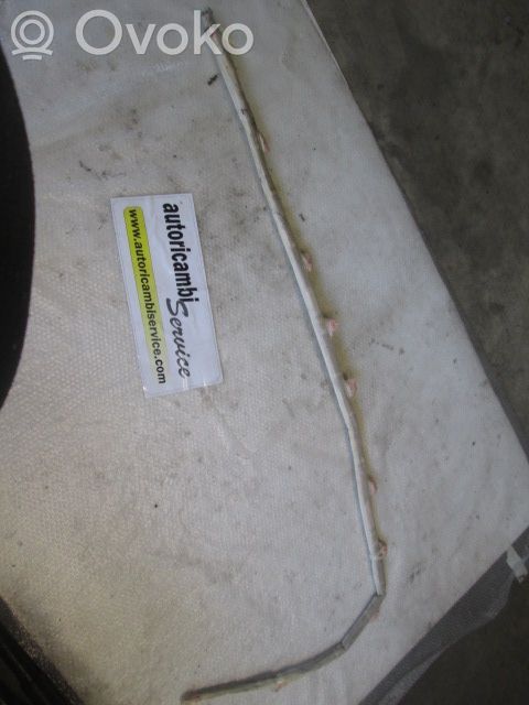 Airbag del techo   8E9880741