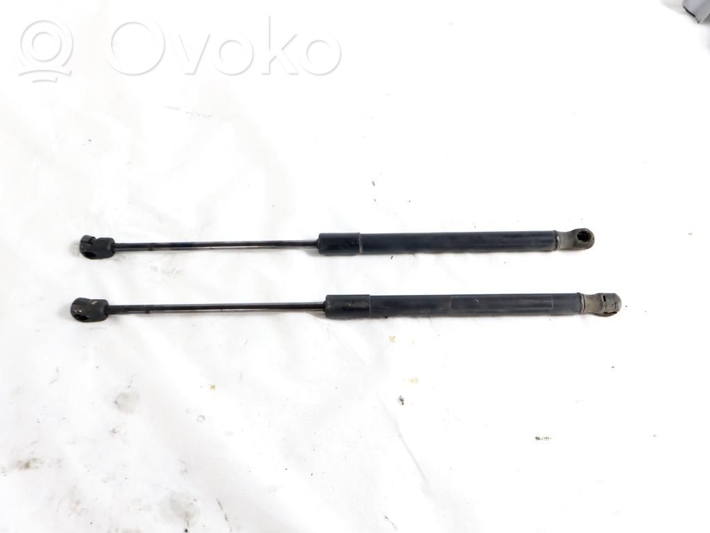 Hyundai Santa Fe Ammortizzatore portellone anteriore/cofano