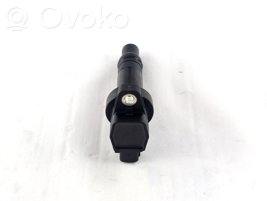 Aukštos įtampos ritė "babyna"   273012B010