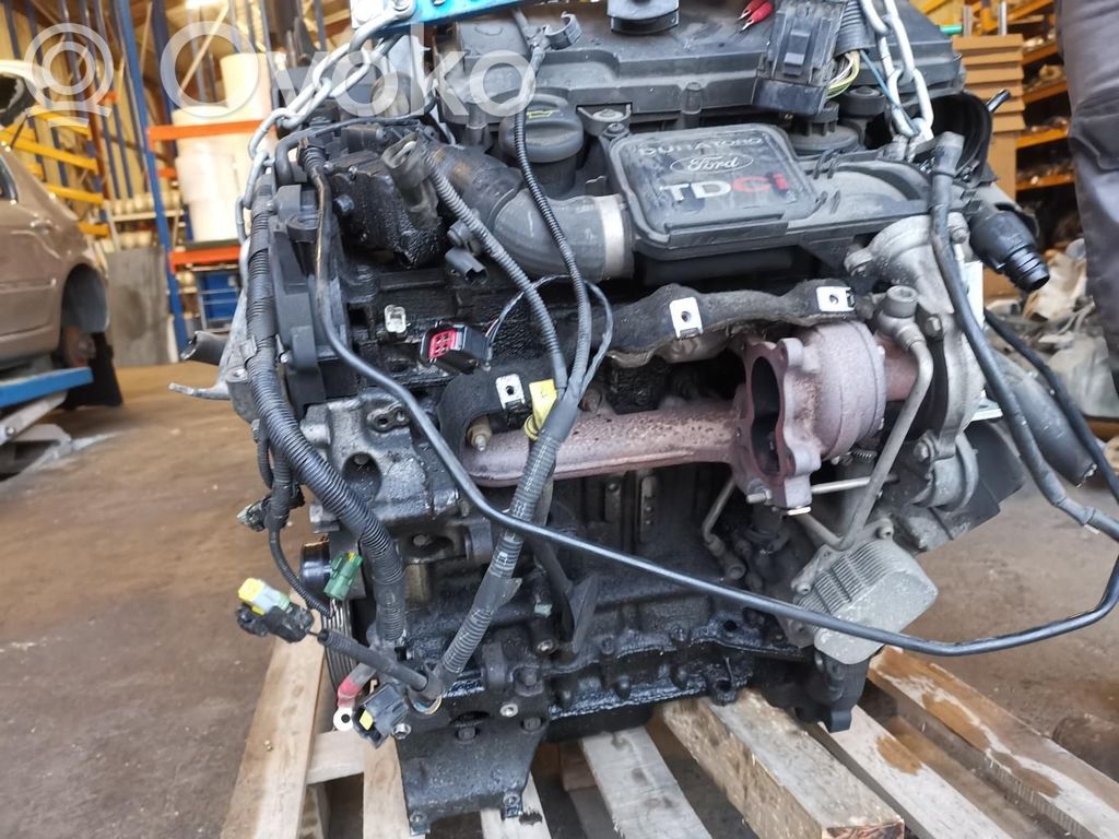 Engine   1484408