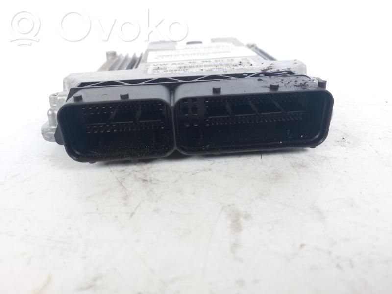 Engine control unit/module   0281031012,0281031012