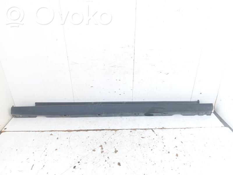 Ford Focus Sill/side skirt trim 