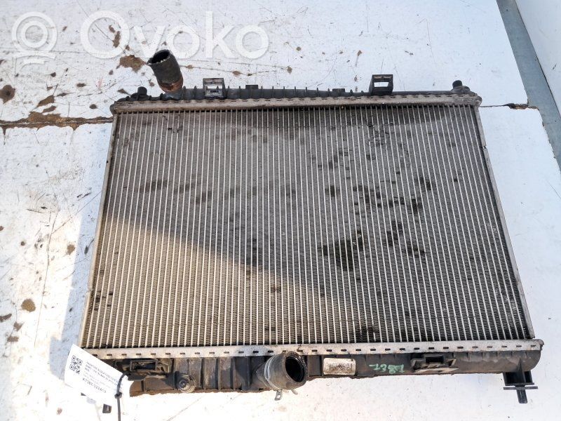 Ford Fiesta Pečiuko radiatorius 