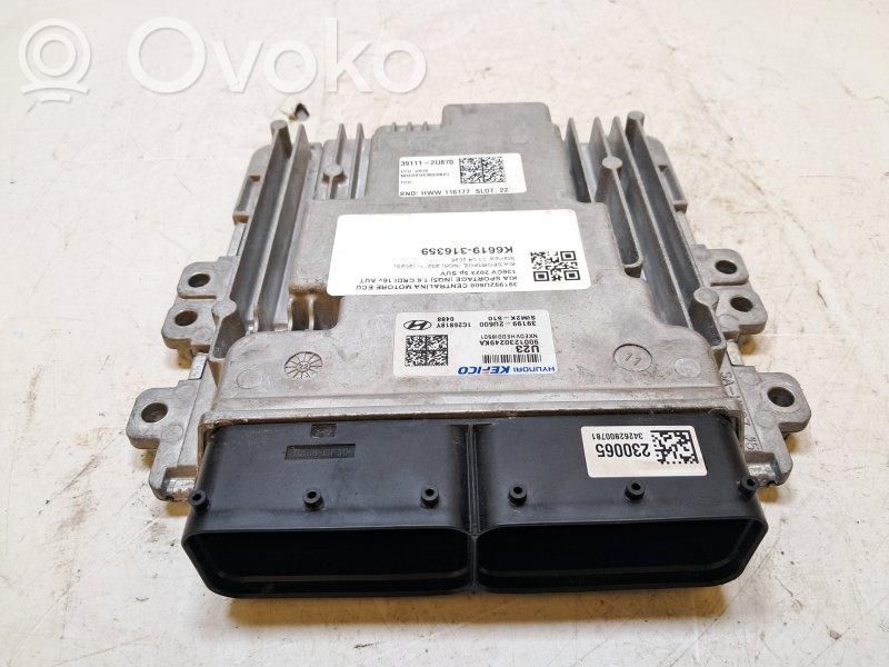 KIA Sportage Unitate/modul de control motor