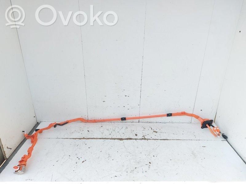 Cablaj motor   821H10D010,821H10D010