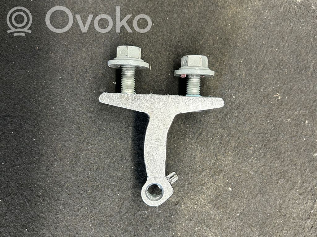 Volkswagen PASSAT B7 Rear door lower hinge 
