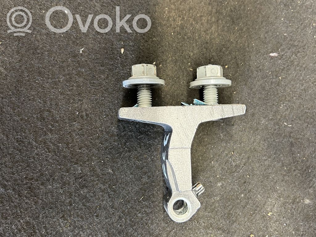 Volkswagen PASSAT B7 Rear door lower hinge 