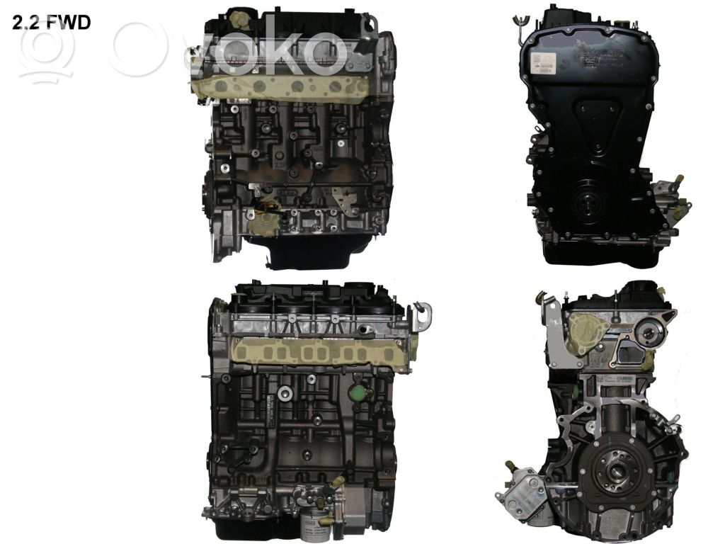 Motor   DRFD