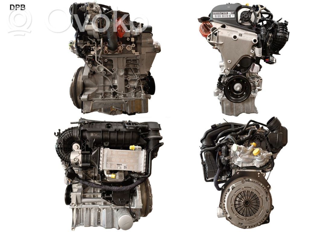 Motor   DBP