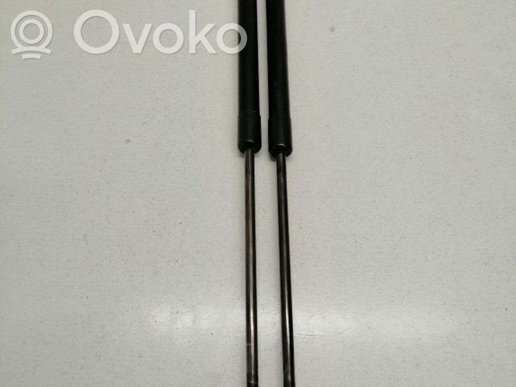Audi A3 S3 8P Tailgate/trunk strut/damper 