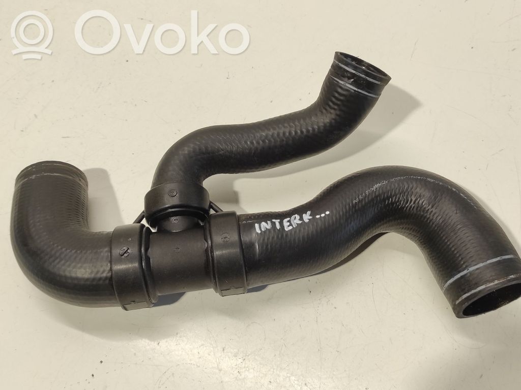 Citroen C5 Interkūlera šļūtene (-es) / caurule (-es) 
