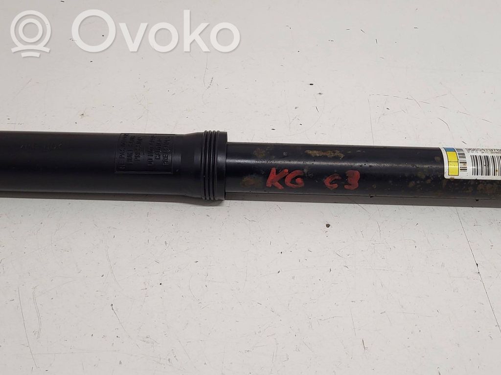 Citroen C3 Aizmugurē amortizators 