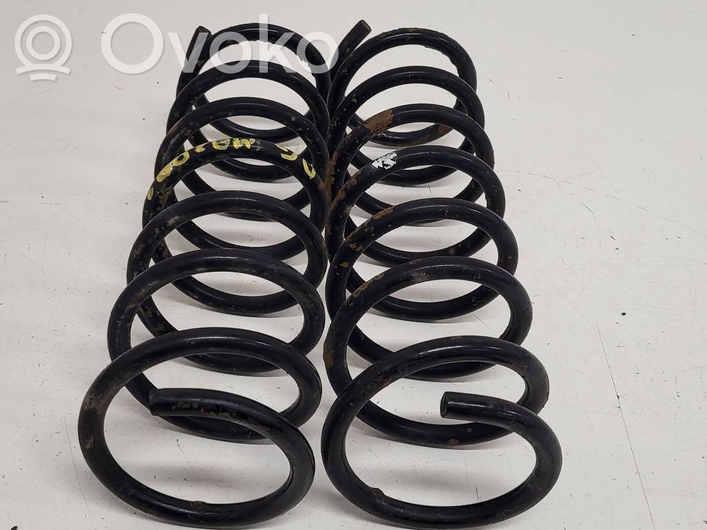 Rear coil spring