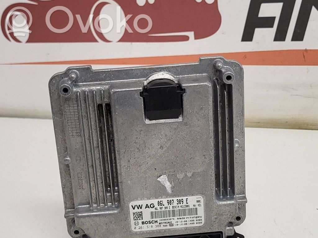 Engine control unit/module   06L907309E,0261S18388