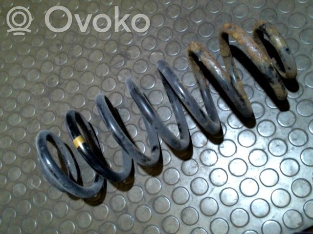 Rear coil spring   0000