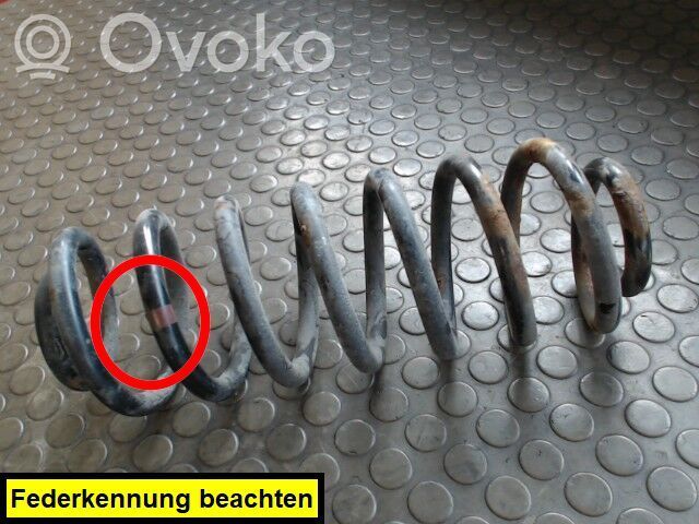 Rear coil spring   0000