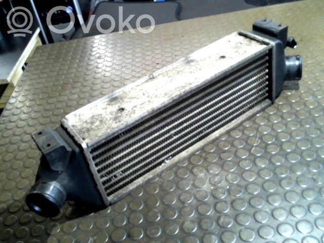 Ford Transit Interkūlerio žarna (-os)/ vamzdelis (-iai) 