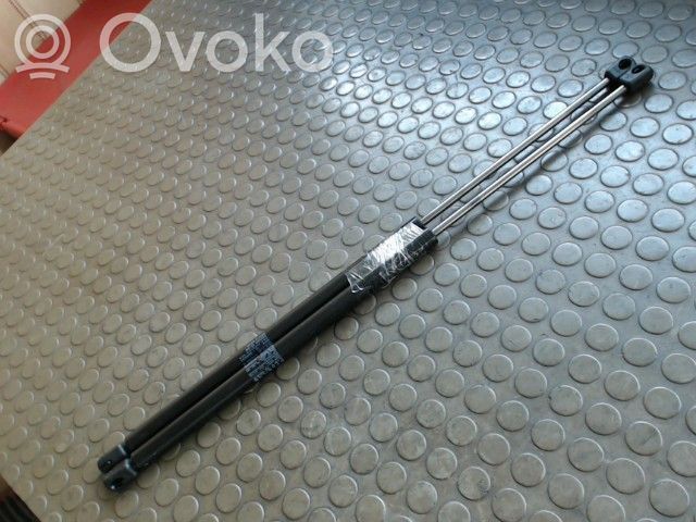 Renault Scenic I Ammortizzatore portellone posteriore/bagagliaio 