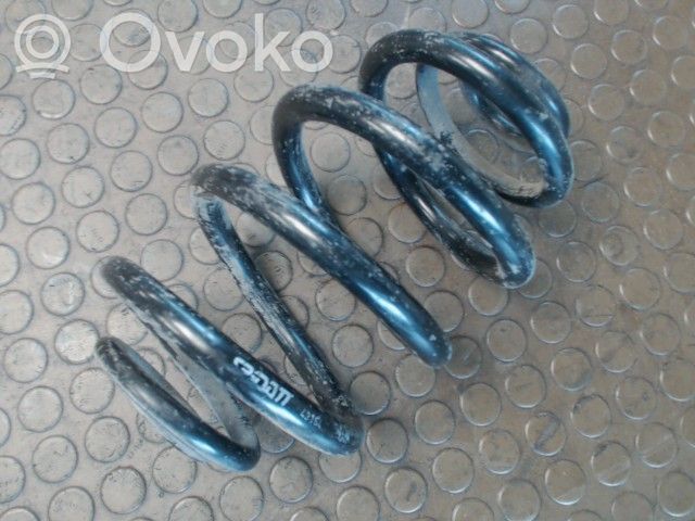 Rear coil spring   0000