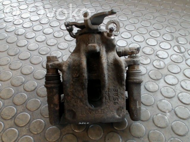 Takajarrusatula   1478337,1075553