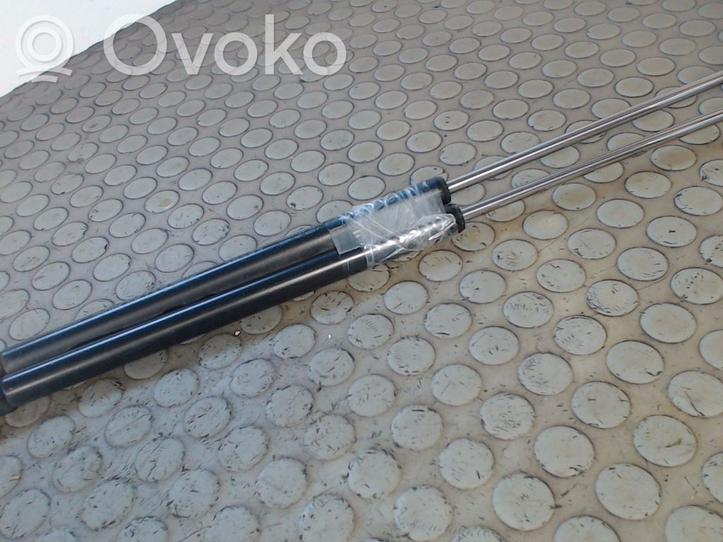 Tailgate/trunk strut/damper   96563503,NICHTZUTREFFEND