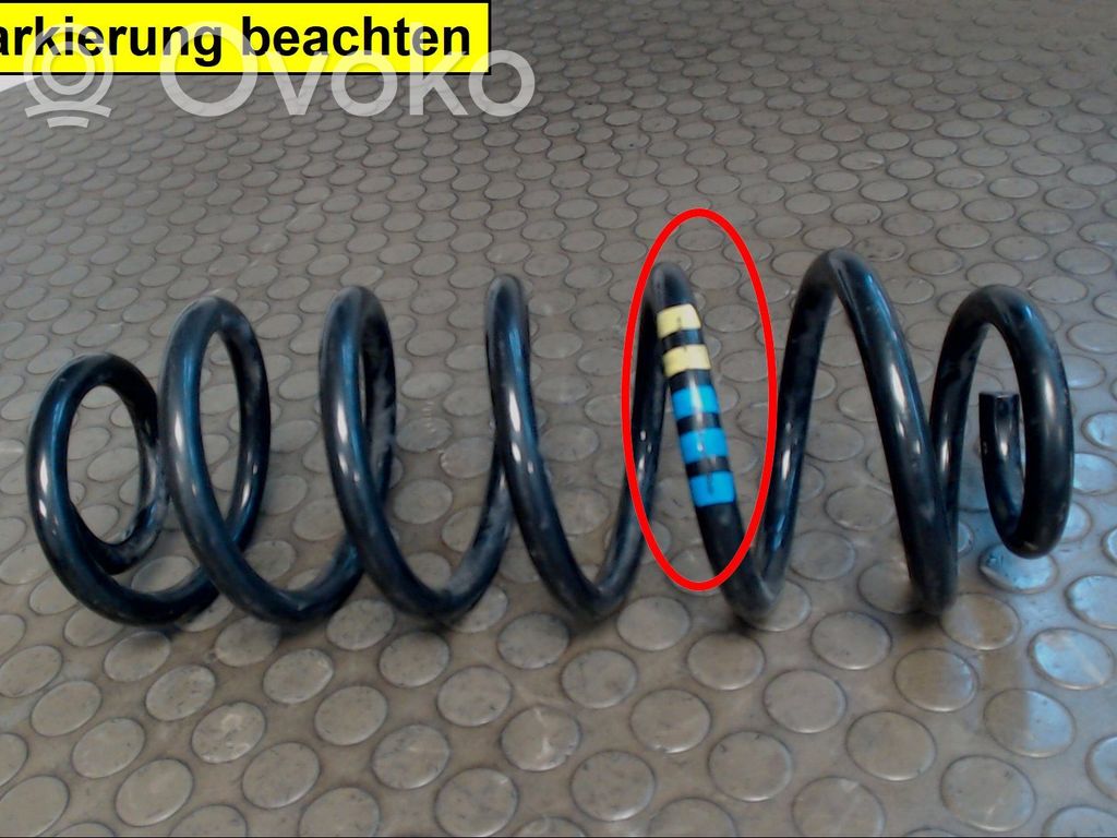 Feder hinten   0000