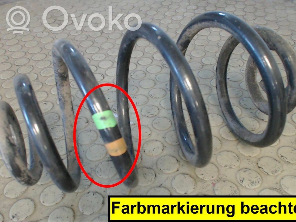 Muelle espiral trasero   0000