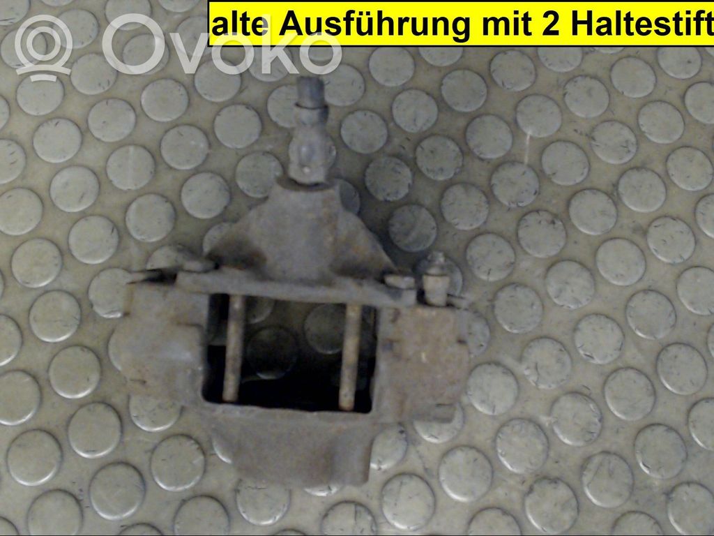Takajarrusatula   NICHTZUTREFFEND