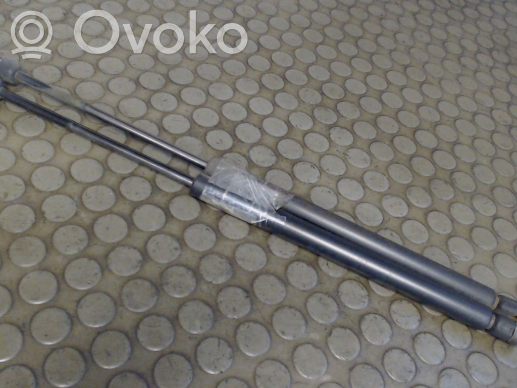 Ford Focus Tailgate/trunk strut/damper 