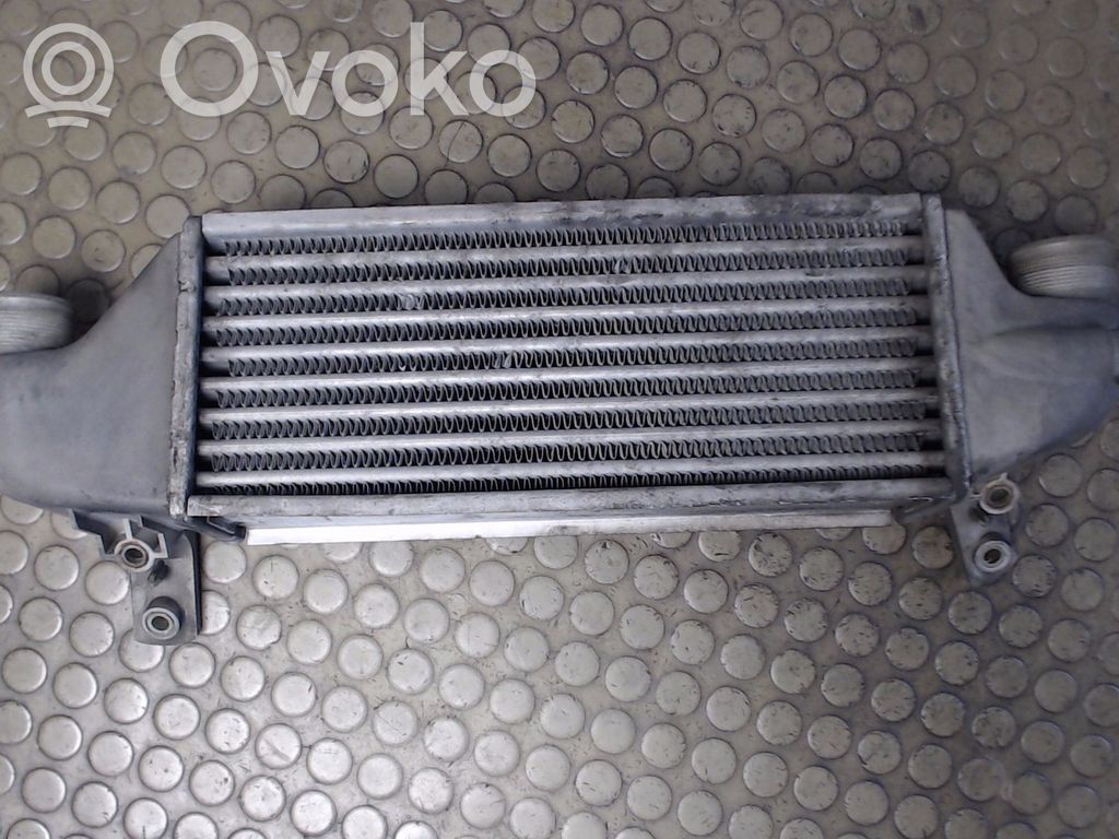 Ford Focus Interkūlerio žarna (-os)/ vamzdelis (-iai) 