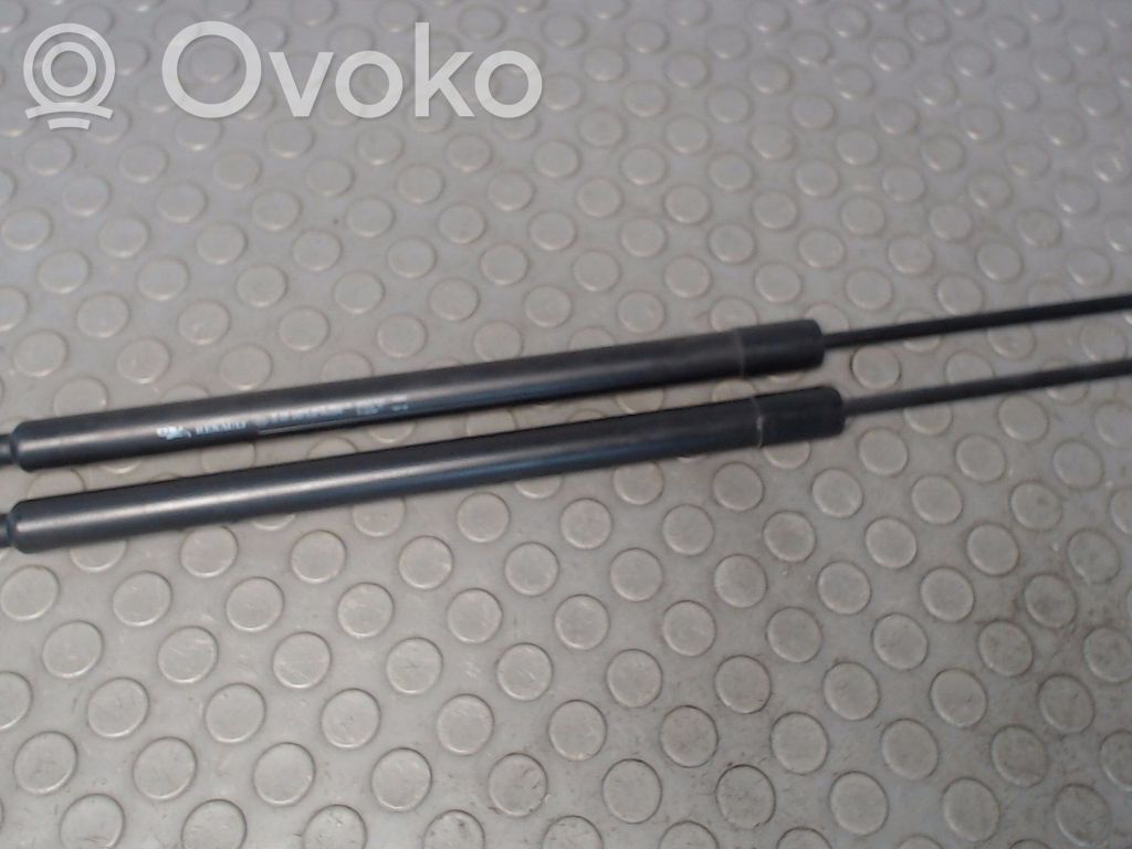 Renault Modus Amortizor hayon 