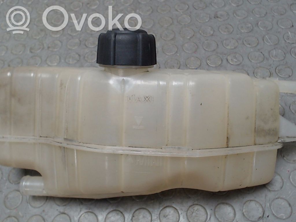 Renault Clio III Vas expansiune/rezervor lichid de răcire 