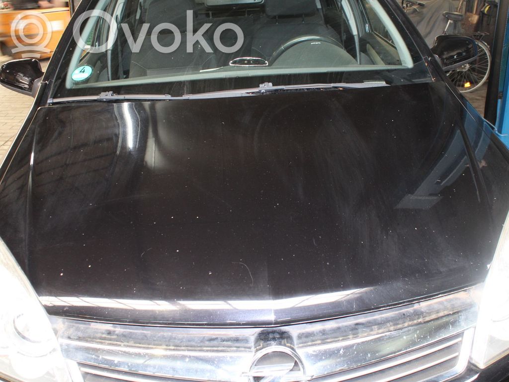 Vano motore/cofano   93178717,01160254